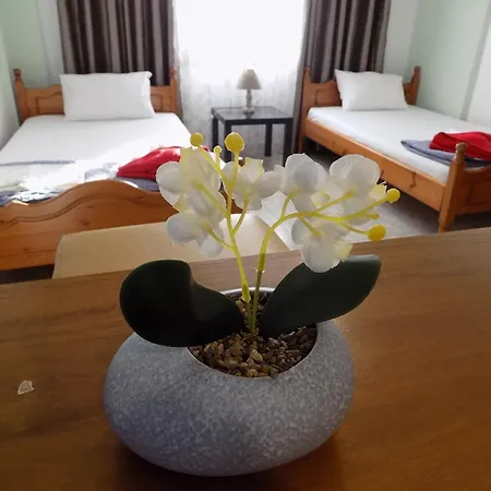 Fanis Apartman *